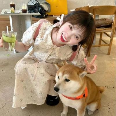 熊猫月亮